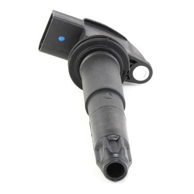 Ignition Coil RIDEX 689C0224 689C0224 - photo 3