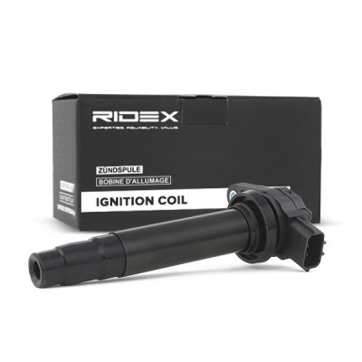 Ignition Coil RIDEX 689C0044 689C0044 - photo 3