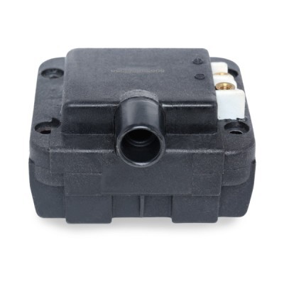 Ignition Coil RIDEX 689C0254 689C0254 - photo 5