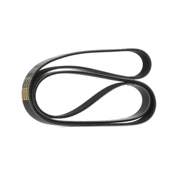 V-Ribbed Belt RIDEX 305P0157P 305P0157P - photo 1