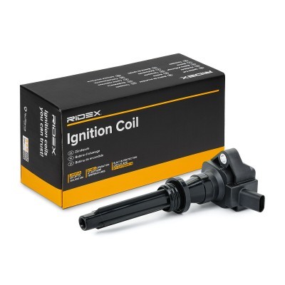 Ignition Coil RIDEX 689C0463 689C0463 - photo 2