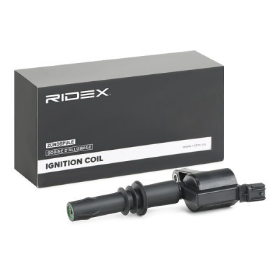 Ignition Coil RIDEX 689C0387 689C0387 - photo 2