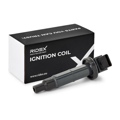 Ignition Coil RIDEX 689C0098 689C0098 - photo 2