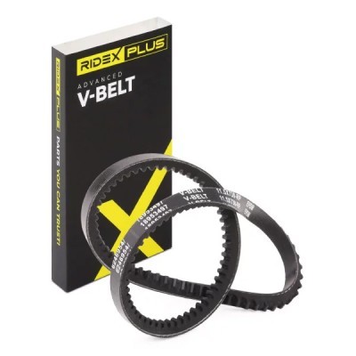 V-Belt RIDEX 10C0016P 10C0016P - photo 2