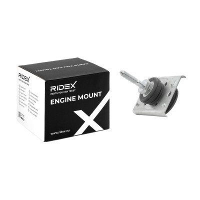 Engine Mounting RIDEX 247E0678 247E0678 - photo 2
