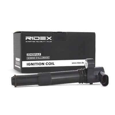 Ignition Coil RIDEX 689C0009 689C0009 - photo 3