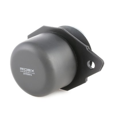 Engine Mounting RIDEX 247E0013 247E0013 - photo 4