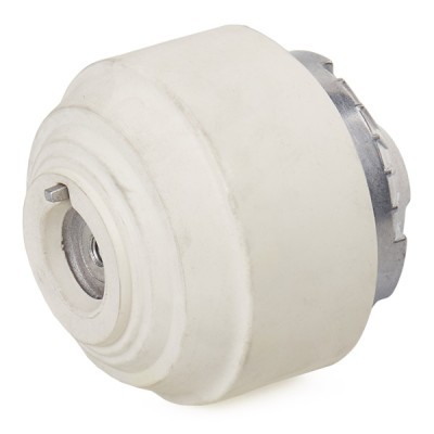 Engine Mounting RIDEX 247E0210 247E0210 - photo 4