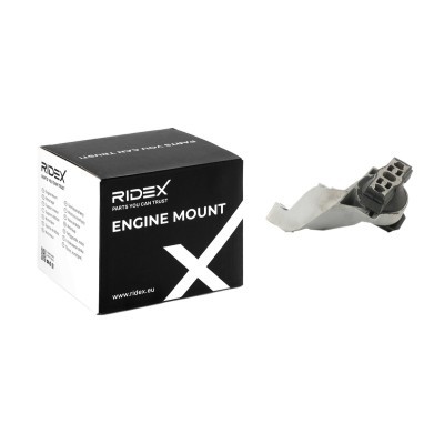Engine Mounting RIDEX 247E0148 247E0148 - photo 2