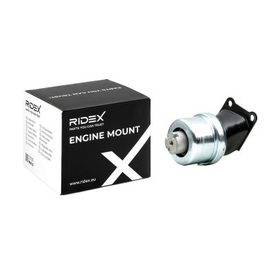 Engine Mounting RIDEX 247E0329 247E0329 - photo 2