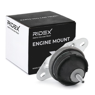 Engine Mounting RIDEX 247E0891 247E0891 - photo 2