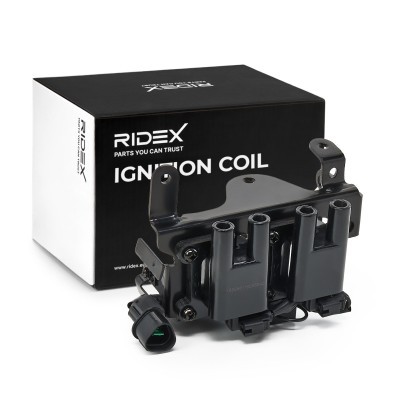 Ignition Coil RIDEX 689C0109 689C0109 - photo 2