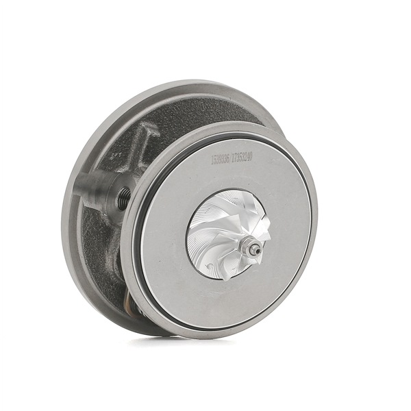 Turbo cartridge (core) RIDEX 4973C0255 4973C0255 - photo 1