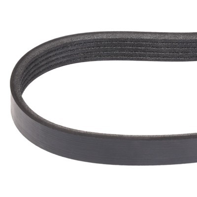 V-Ribbed Belt RIDEX 305P0455 305P0455 - photo 3