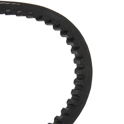 V-Belt RIDEX 10C0013P 10C0013P - photo 3