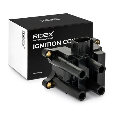 Ignition Coil RIDEX 689C0007 689C0007 - photo 2