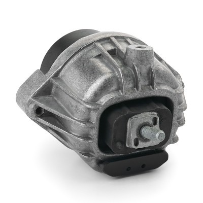 Engine Mounting RIDEX 247E0443 247E0443 - photo 3
