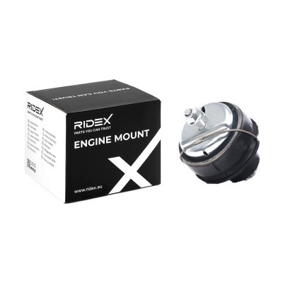 Engine Mounting RIDEX 247E0247 247E0247 - photo 2