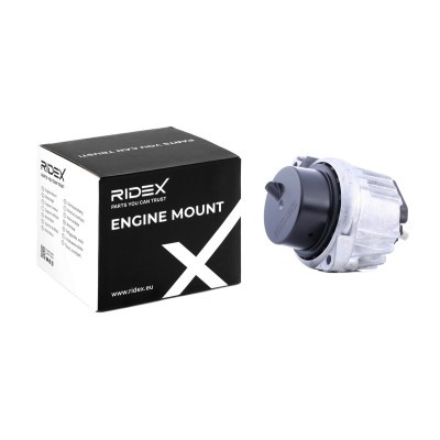 Engine Mounting RIDEX 247E0419 247E0419 - photo 2