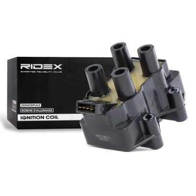 Ignition Coil RIDEX 689C0065 689C0065 - photo 2