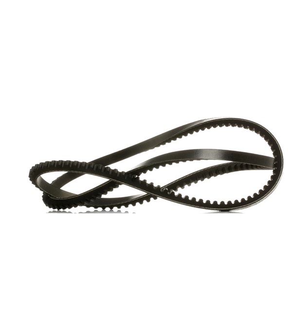 V-Belt RIDEX 10C0117P 10C0117P - photo 1
