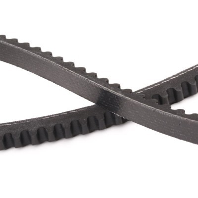 V-Belt RIDEX 10C0019P 10C0019P - photo 5