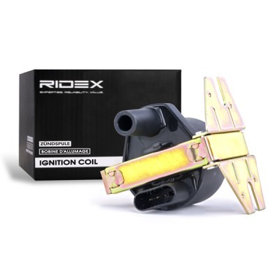 Ignition Coil RIDEX 689C0196 689C0196 - photo 2