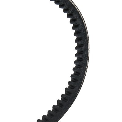 V-Belt RIDEX 10C0009P 10C0009P - photo 3