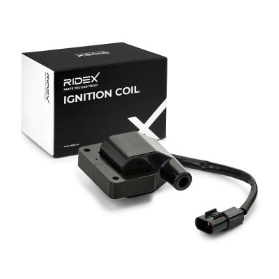 Ignition Coil RIDEX 689C0139 689C0139 - photo 2
