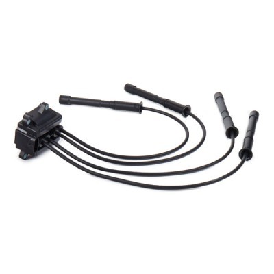 Ignition Coil RIDEX 689C0073 689C0073 - photo 4