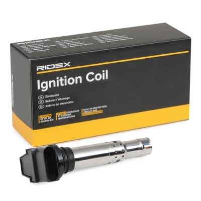 Ignition Coil RIDEX 689C0003 689C0003 - photo 2