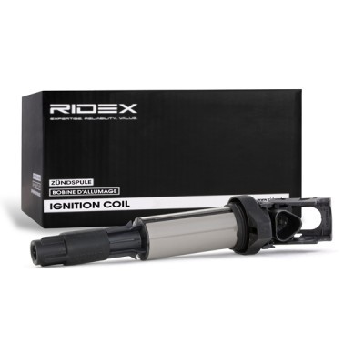 Ignition Coil RIDEX 689C0005 689C0005 - photo 3