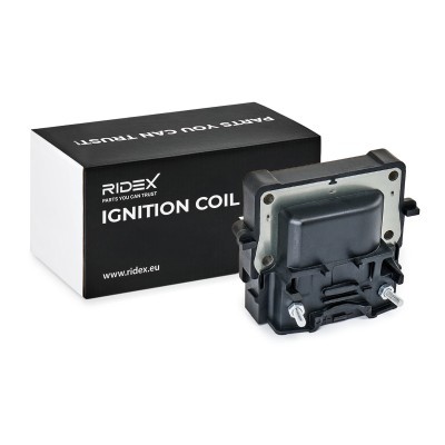 Ignition Coil RIDEX 689C0170 689C0170 - photo 2