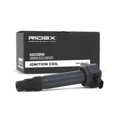 Ignition Coil RIDEX 689C0169 689C0169 - photo 3