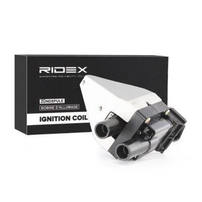 Ignition Coil RIDEX 689C0231 689C0231 - photo 6