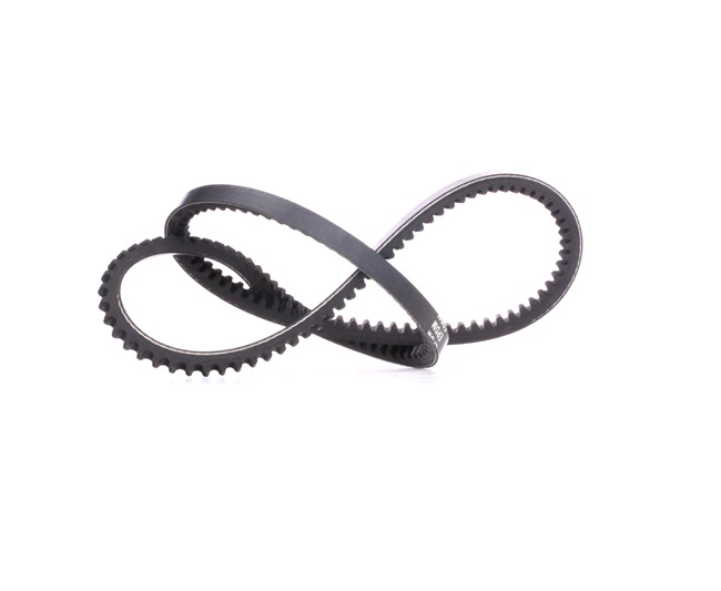 V-Belt RIDEX 10C0032 10C0032 - photo 1