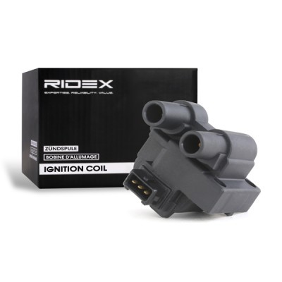 Ignition Coil RIDEX 689C0155 689C0155 - photo 4