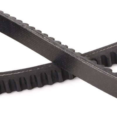 V-Belt RIDEX 10C0036P 10C0036P - photo 5