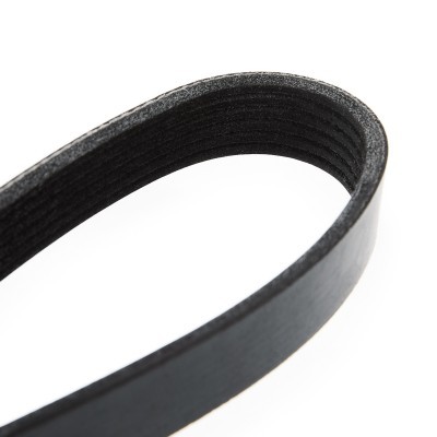 V-Ribbed Belt RIDEX 305P0056 305P0056 - photo 5
