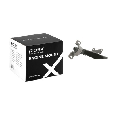 Engine Mounting RIDEX 247E0431 247E0431 - photo 2