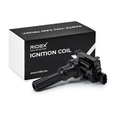 Ignition Coil RIDEX 689C0049 689C0049 - photo 2