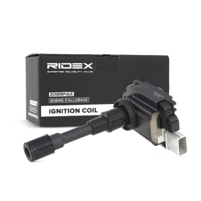 Ignition Coil RIDEX 689C0039 689C0039 - photo 3