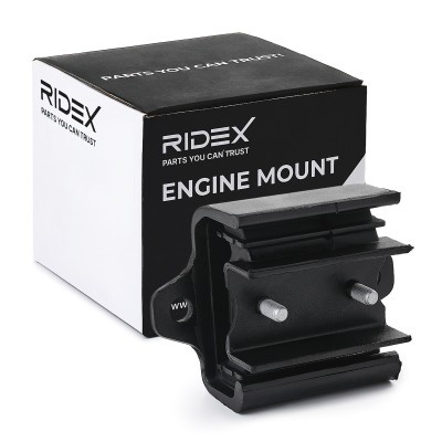 Engine Mounting RIDEX 247E0718 247E0718 - photo 2