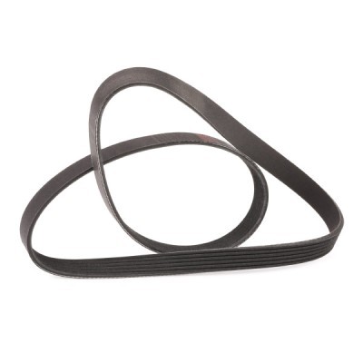 V-Ribbed Belt RIDEX 305P0584P 305P0584P - photo 3
