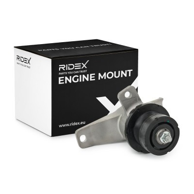 Engine Mounting RIDEX 247E0572 247E0572 - photo 2