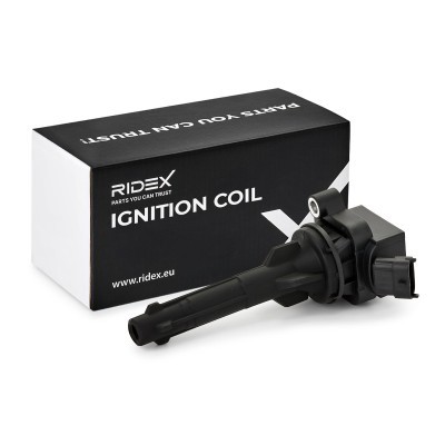 Ignition Coil RIDEX 689C0153 689C0153 - photo 2