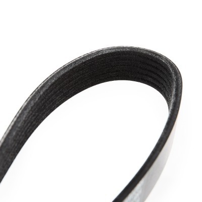 V-Ribbed Belt RIDEX 305P0054 305P0054 - photo 5