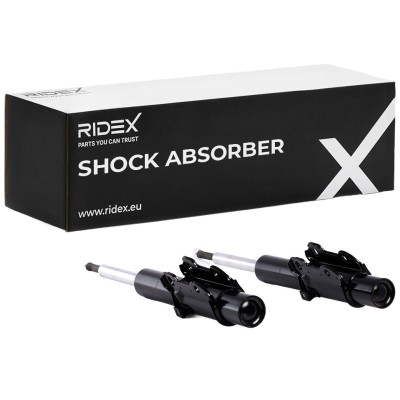 Shock Absorber RIDEX 854S2198 854S2198 - photo 6