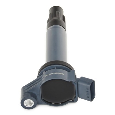 Ignition Coil RIDEX 689C0303P 689C0303P - photo 6