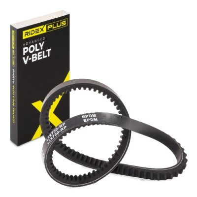 V-Belt RIDEX 10C0023P 10C0023P - photo 3